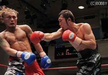 田島 秀哲 元日本ミドル級5位